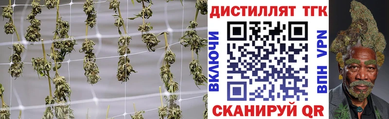 ТГК Wax  blacksprut ссылка  Шарья  что такое  